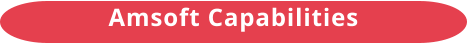 Amsoft Capabilities
