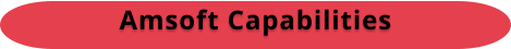 Amsoft Capabilities
